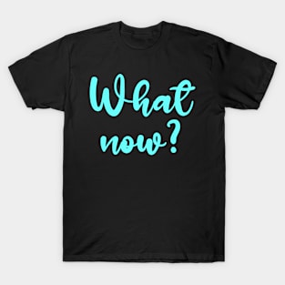 What Now? - Sarcastic Humor T-Shirt